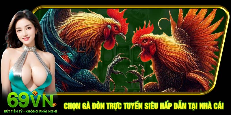 Chọn gà đòn trực tuyến siêu hấp dẫn tại nhà cái