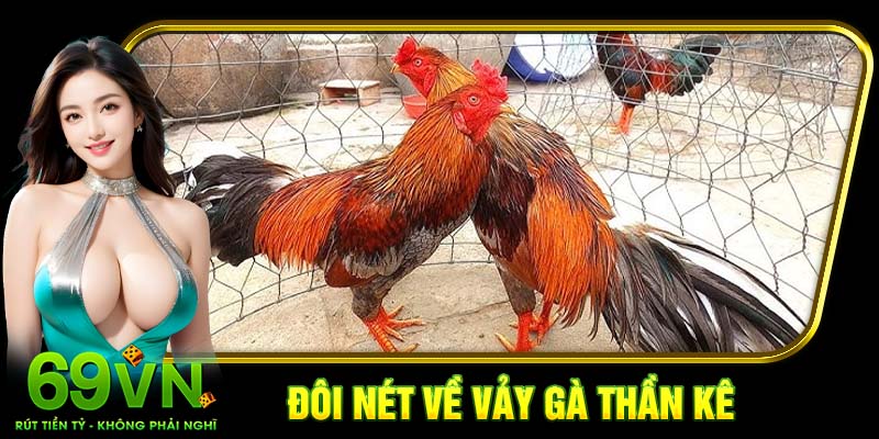Đôi nét về vảy gà thần kê