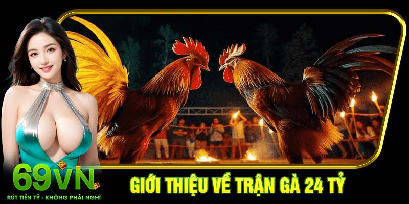 Giới thiệu về trận gà 24 tỷ