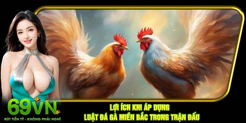Lợi ích khi áp dụng luật đá gà miền Bắc trong trận đấu