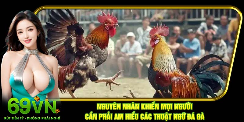 Nguyên nhân khiến mọi người cần phải am hiểu các thuật ngữ đá gà