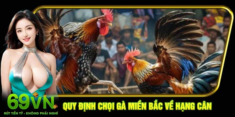 Quy định chọi gà miền Bắc Về hạng cân