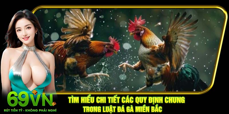 Tìm hiểu chi tiết các quy định chung trong luật đá gà miền Bắc
