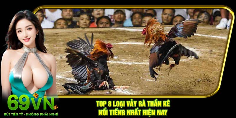 Top 8 loại vảy gà thần kê nổi tiếng nhất hiện nay