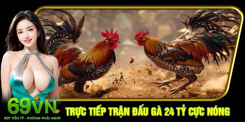 Trận gà 24 tỷ có thực hay không?