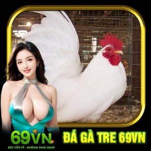 Đá Gà Tre 69VN | Mãn Nhãn Với Từng Trận Đấu Khốc Liệt Tại 69VN