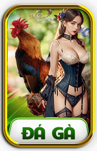 icon001 7