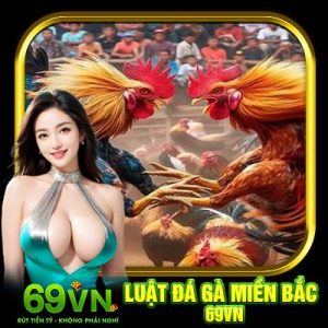 Luật Đá Gà Miền Bắc 69VN | Thông Tin Về Quy Định Chọi Kê 2025