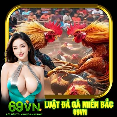 Luật Đá Gà Miền Bắc 69VN | Thông Tin Về Quy Định Chọi Kê 2025