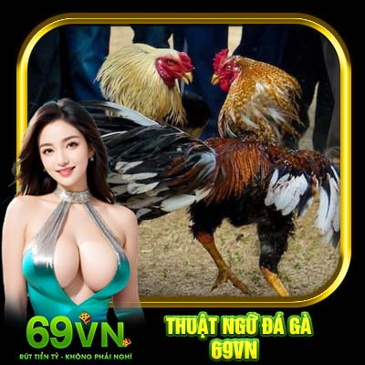 Thuật Ngữ Đá Gà 69VN | Nắm Vững Kiến Thức Chuẩn Như Cao Thủ