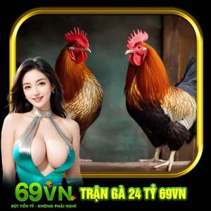 Trận Gà 24 Tỷ 69VN | Bùng Nổ Màn So Tài Nghẹt Thở Trong Giới Đá Gà