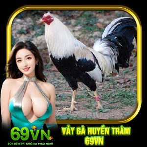 Vảy Gà Huyền Trâm 69VN | Chiến Kê Đặc Biệt Nhất 2025