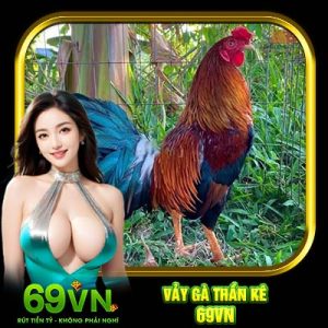 Vảy Gà Thần Kê 69VN | Tổng Hợp Những Loại Vảy Quý Hiếm Hiện Nay